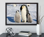 Kaiserpinguin mit Küken auf Leinwandbild gerahmt mit Kirschblüten