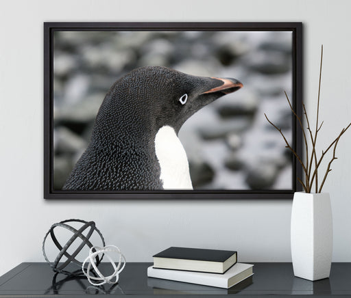 niedlicher Adeliepinguine auf Leinwandbild gerahmt mit Kirschblüten