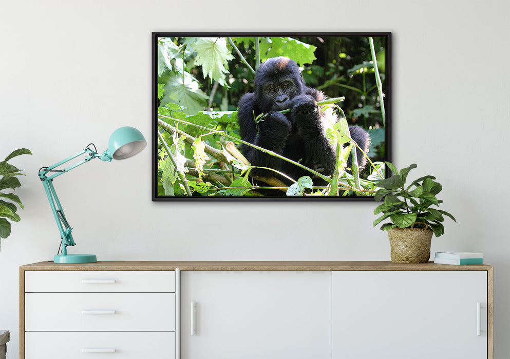 Gorilla beim Fressen auf Leinwandbild gerahmt verschiedene Größen im Wohnzimmer