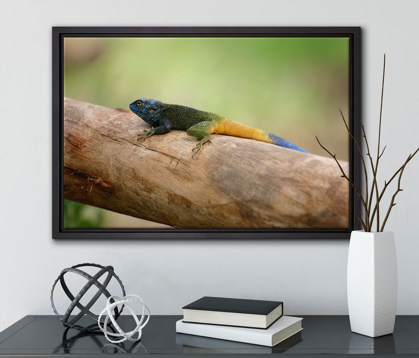 farbenfrohe Eidechse auf Leinwandbild gerahmt mit Kirschblüten