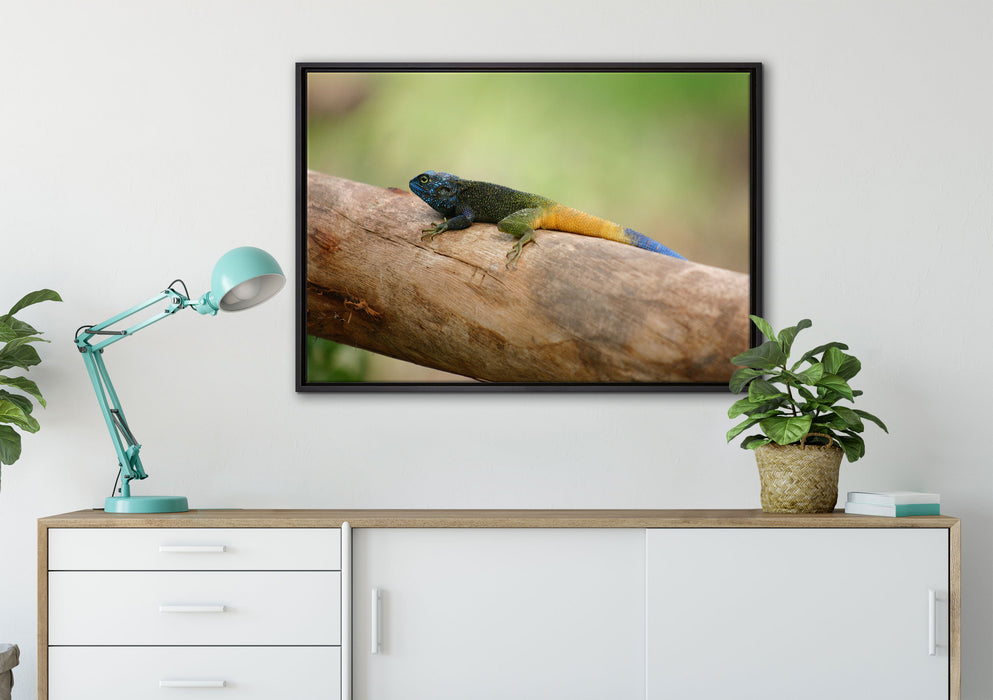 farbenfrohe Eidechse auf Leinwandbild gerahmt verschiedene Größen im Wohnzimmer
