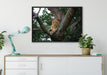 schöne Löwin auf Baum auf Leinwandbild gerahmt verschiedene Größen im Wohnzimmer