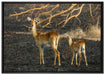 weibliche Gazelle mit Jungtier auf Leinwandbild gerahmt Größe 100x70