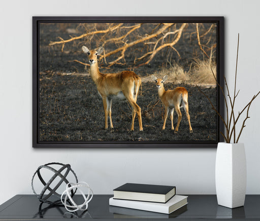 weibliche Gazelle mit Jungtier auf Leinwandbild gerahmt mit Kirschblüten