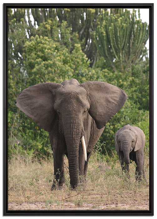 Elefantenkuh mit Jungtier auf Leinwandbild gerahmt Größe 100x70