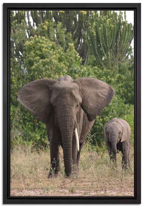 Elefantenkuh mit Jungtier auf Leinwandbild gerahmt Größe 60x40