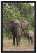 Elefantenkuh mit Jungtier auf Leinwandbild gerahmt Größe 60x40