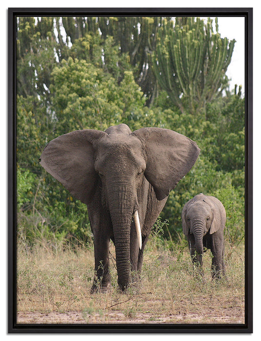 Elefantenkuh mit Jungtier auf Leinwandbild gerahmt Größe 80x60