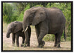Elefantenkuh neben Jungtier auf Leinwandbild gerahmt Größe 100x70
