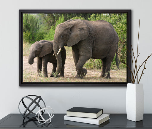 Elefantenkuh neben Jungtier auf Leinwandbild gerahmt mit Kirschblüten