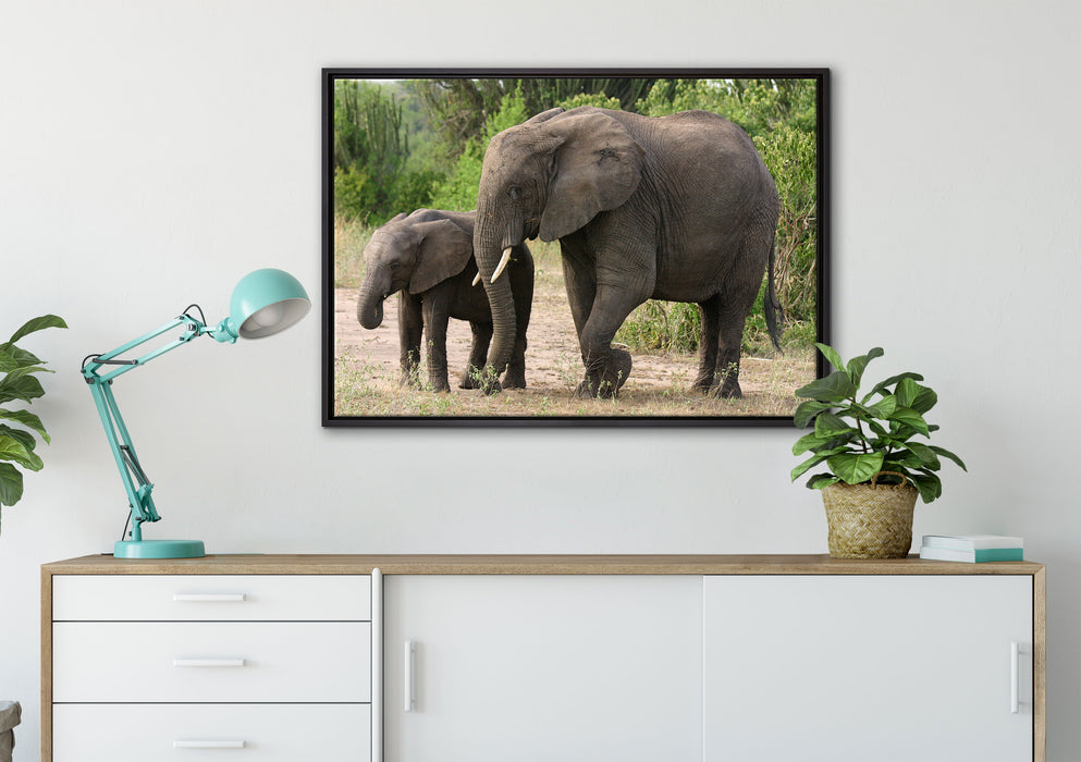Elefantenkuh neben Jungtier auf Leinwandbild gerahmt verschiedene Größen im Wohnzimmer