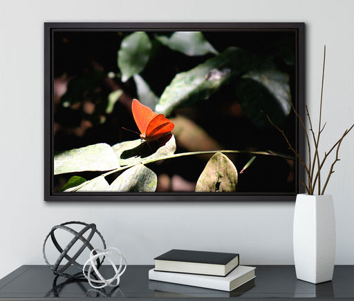 schöner Schmetterling sonnt sich auf Leinwandbild gerahmt mit Kirschblüten