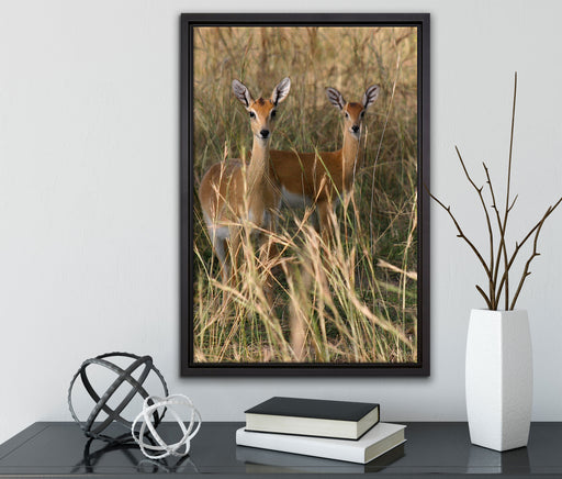 Gazellen im Wildgras auf Leinwandbild gerahmt mit Kirschblüten