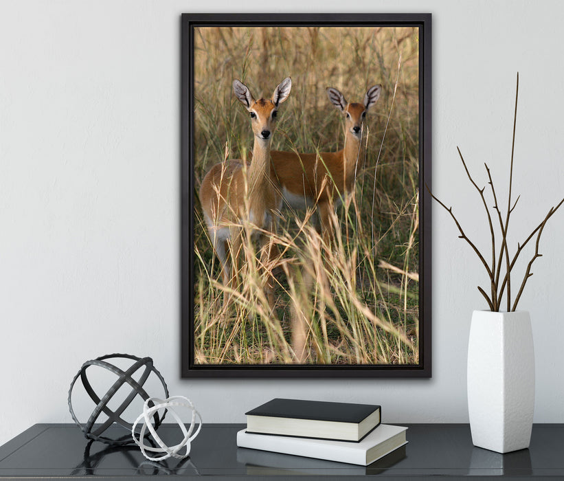 Gazellen im Wildgras auf Leinwandbild gerahmt mit Kirschblüten