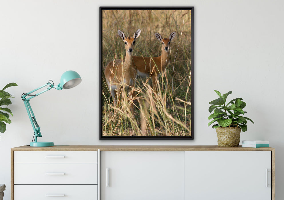 Gazellen im Wildgras auf Leinwandbild gerahmt verschiedene Größen im Wohnzimmer