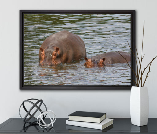 zwei Flusspferde im hohen Wasser auf Leinwandbild gerahmt mit Kirschblüten