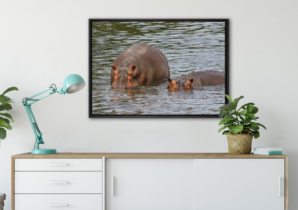 zwei Flusspferde im hohen Wasser auf Leinwandbild gerahmt verschiedene Größen im Wohnzimmer