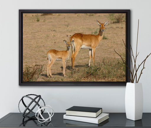 Gazelle mit Jungtier auf Leinwandbild gerahmt mit Kirschblüten