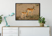Gazelle mit Jungtier auf Leinwandbild gerahmt verschiedene Größen im Wohnzimmer
