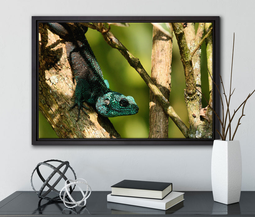 Agama auf Baum Ast auf Leinwandbild gerahmt mit Kirschblüten