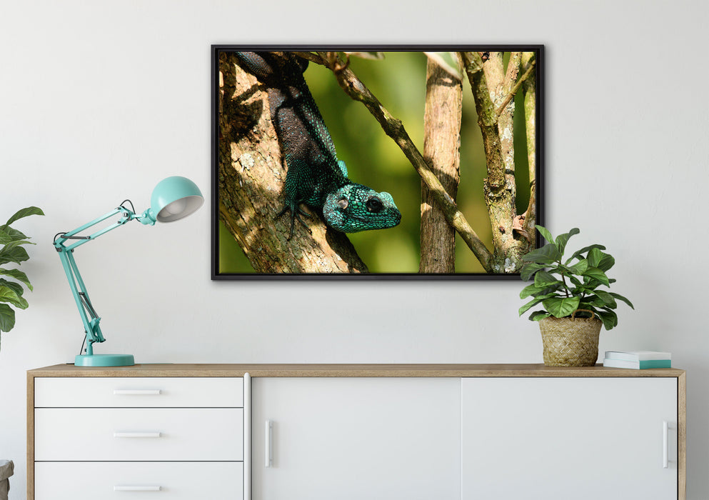 Agama auf Baum Ast auf Leinwandbild gerahmt verschiedene Größen im Wohnzimmer