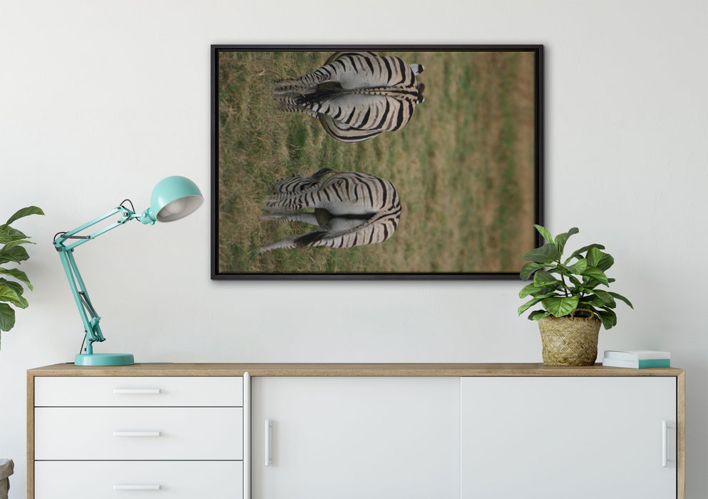 Zebras mit weißen Vögeln auf Leinwandbild gerahmt verschiedene Größen im Wohnzimmer