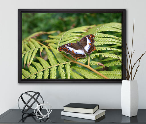 Schmetterling auf Farnblatt auf Leinwandbild gerahmt mit Kirschblüten