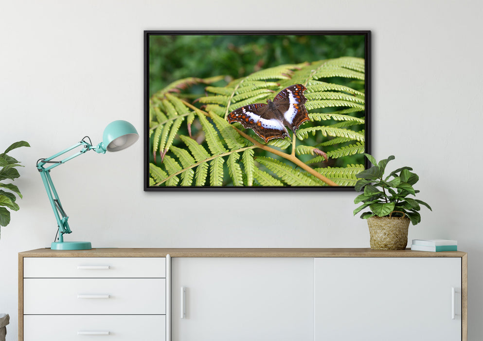 Schmetterling auf Farnblatt auf Leinwandbild gerahmt verschiedene Größen im Wohnzimmer