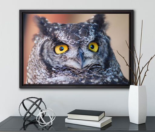 hübsche Waldohreule auf Leinwandbild gerahmt mit Kirschblüten