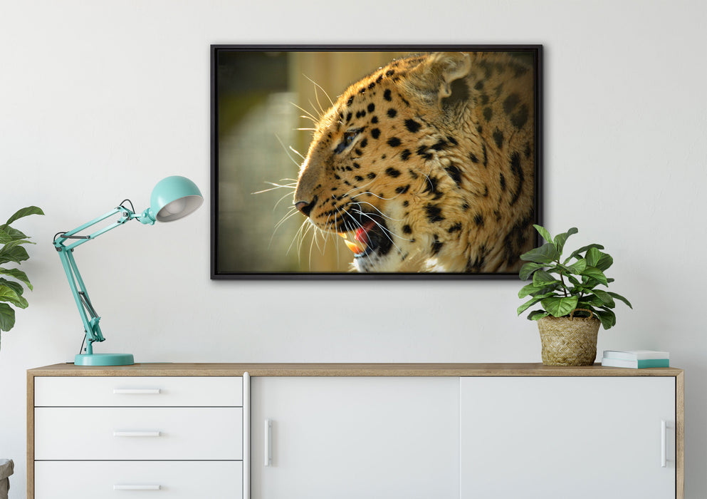 brüllender Leopard auf Leinwandbild gerahmt verschiedene Größen im Wohnzimmer