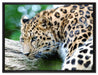 aufmerksamer Leopard auf Baumstamm auf Leinwandbild gerahmt Größe 80x60