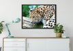 aufmerksamer Leopard auf Baumstamm auf Leinwandbild gerahmt verschiedene Größen im Wohnzimmer