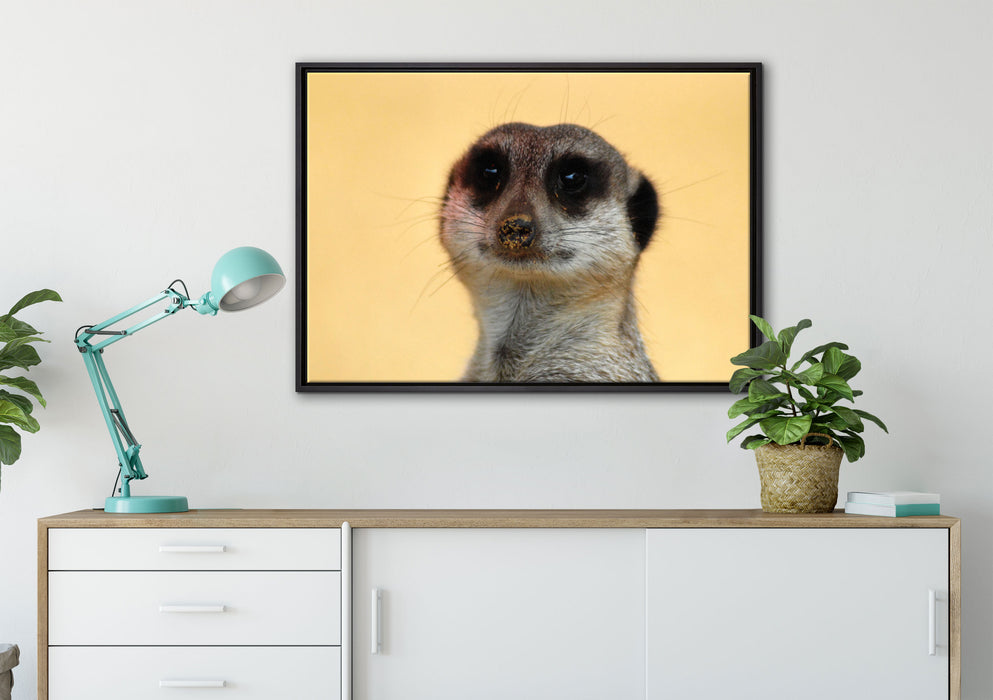 kleines frechen Erdmännchen auf Leinwandbild gerahmt verschiedene Größen im Wohnzimmer