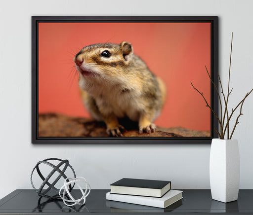 niedliches Streifenhörnchen auf Leinwandbild gerahmt mit Kirschblüten