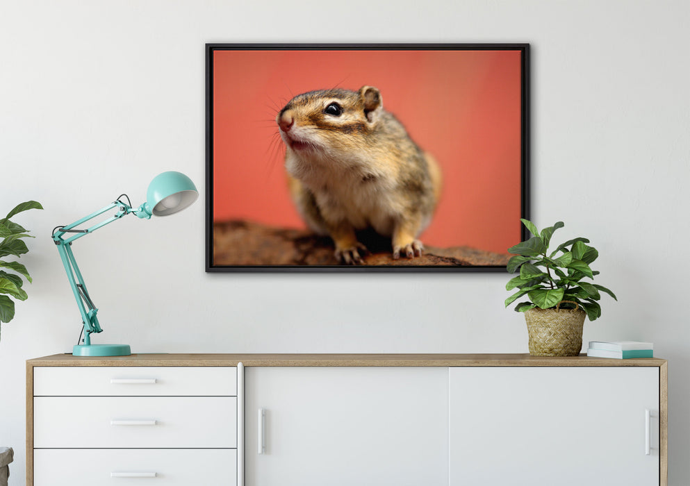 niedliches Streifenhörnchen auf Leinwandbild gerahmt verschiedene Größen im Wohnzimmer