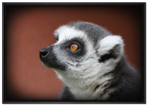 wachsamer Katta auf Leinwandbild gerahmt Größe 100x70
