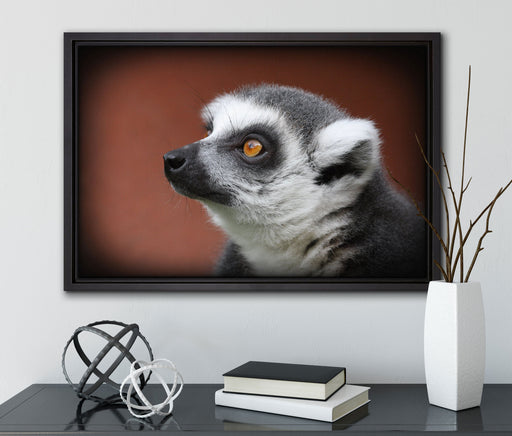 wachsamer Katta auf Leinwandbild gerahmt mit Kirschblüten