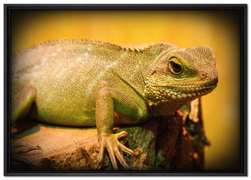 kleine grüne Eidechse auf Leinwandbild gerahmt Größe 100x70