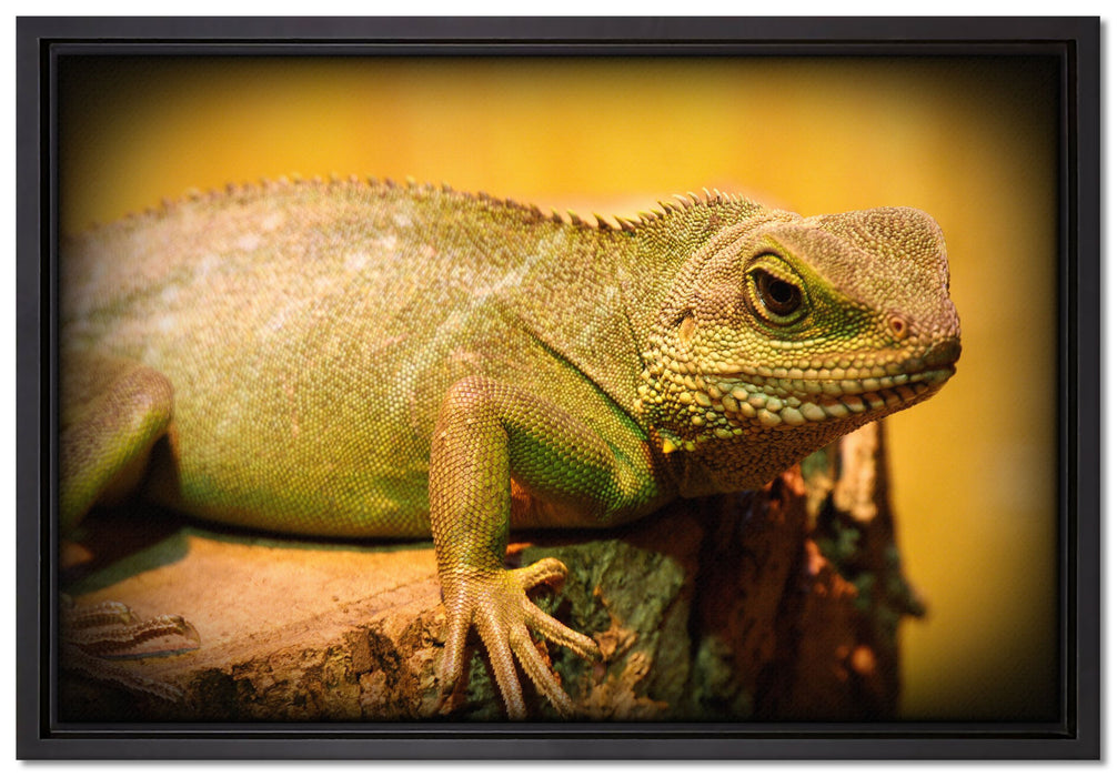 kleine grüne Eidechse auf Leinwandbild gerahmt Größe 60x40