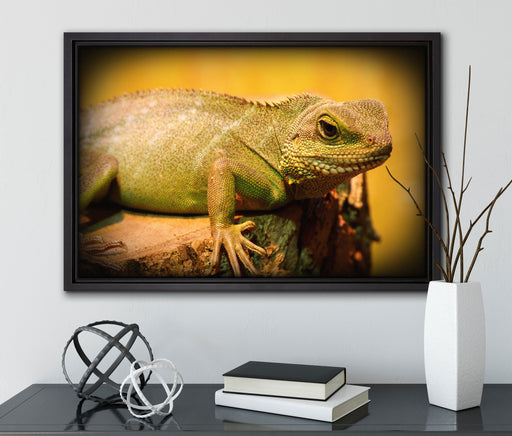 kleine grüne Eidechse auf Leinwandbild gerahmt mit Kirschblüten