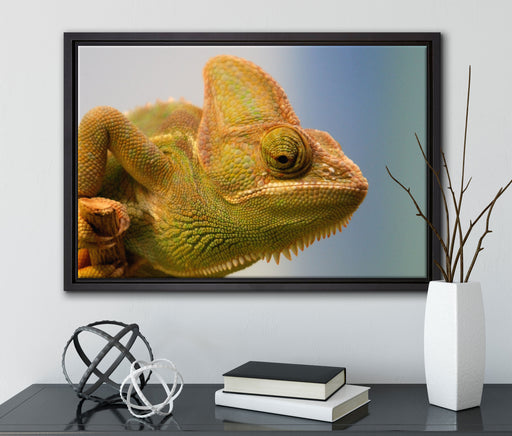 gelbes Chamäleon auf Leinwandbild gerahmt mit Kirschblüten