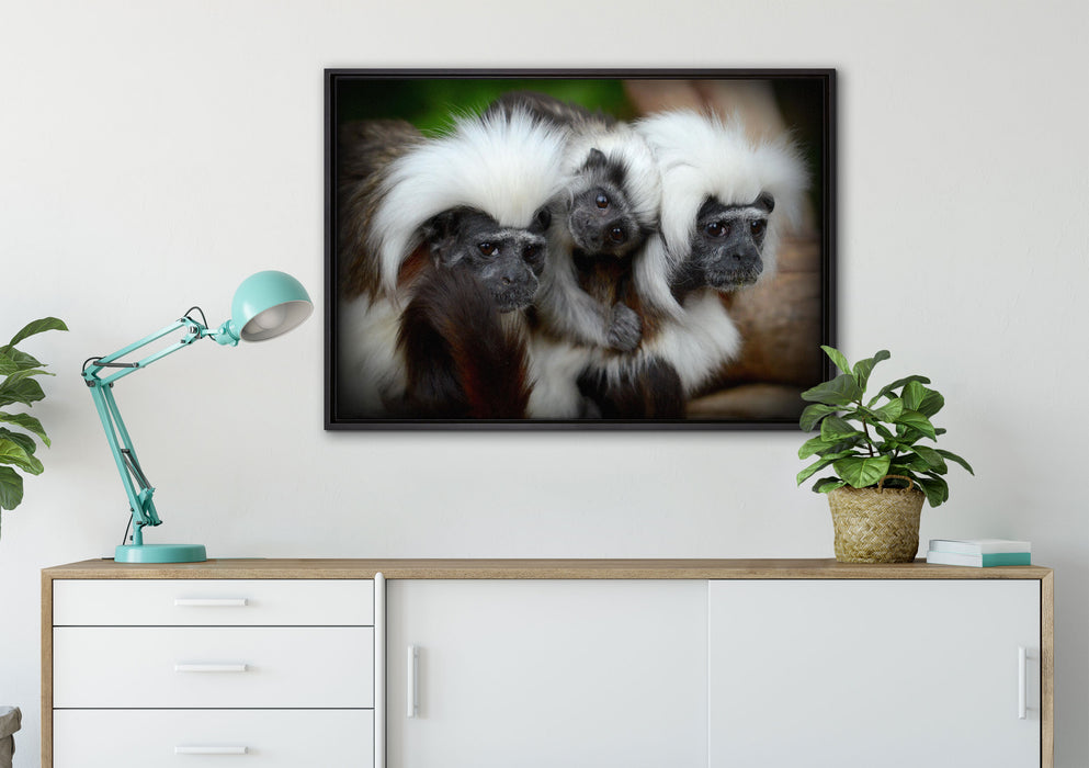 kleine Lisztäffchen-Familie auf Leinwandbild gerahmt verschiedene Größen im Wohnzimmer