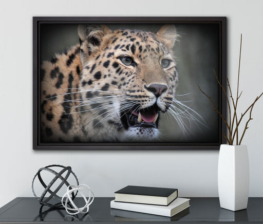 ausgewachsener Leopard auf Leinwandbild gerahmt mit Kirschblüten