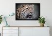 ausgewachsener Leopard auf Leinwandbild gerahmt verschiedene Größen im Wohnzimmer