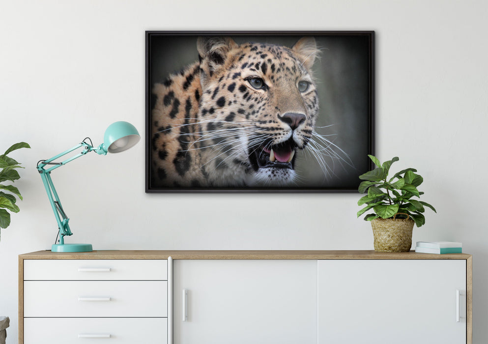 ausgewachsener Leopard auf Leinwandbild gerahmt verschiedene Größen im Wohnzimmer
