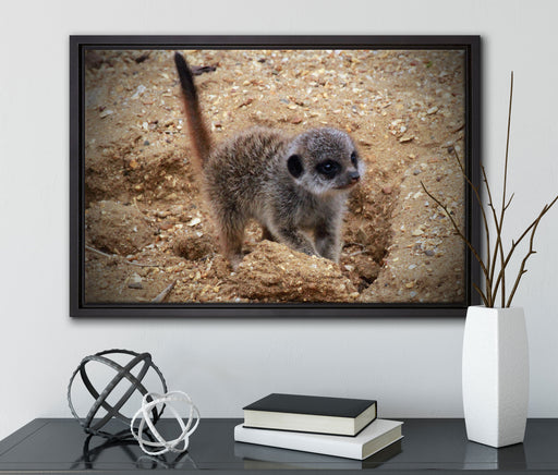 junges Erdmännchen auf Boden auf Leinwandbild gerahmt mit Kirschblüten