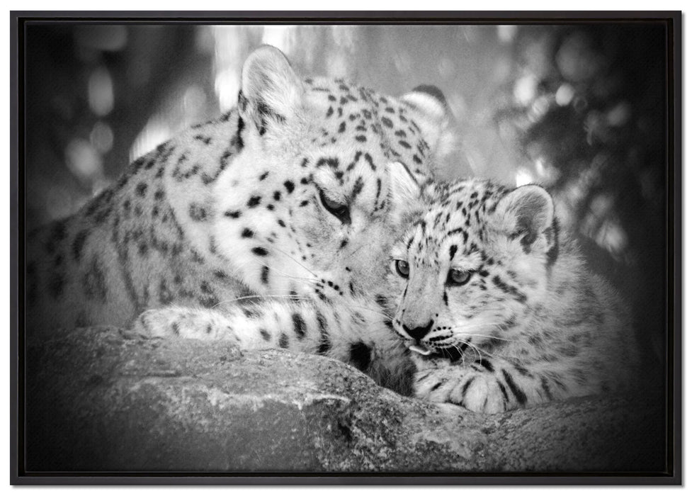 Leopard mit Jungtier auf Leinwandbild gerahmt Größe 100x70