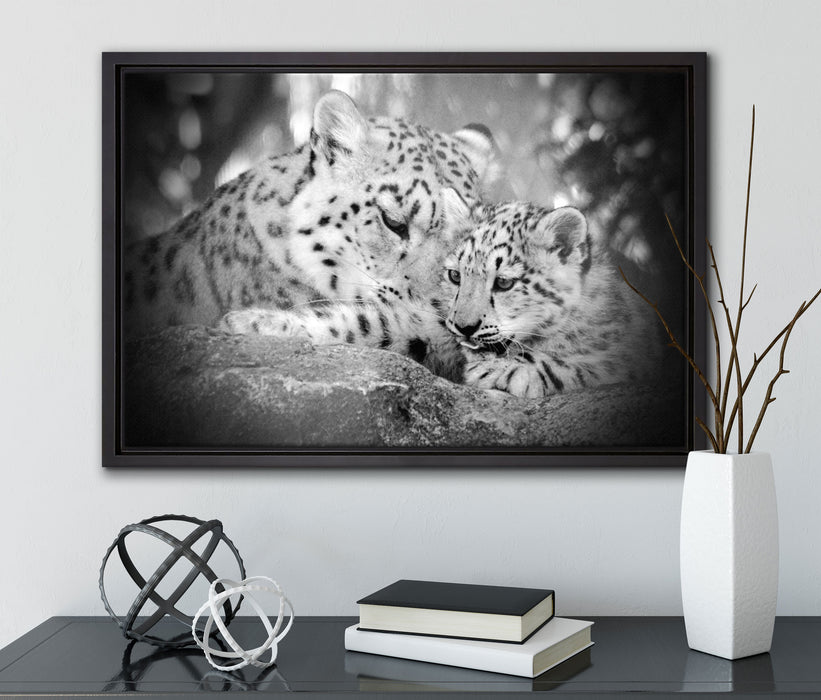 Leopard mit Jungtier auf Leinwandbild gerahmt mit Kirschblüten
