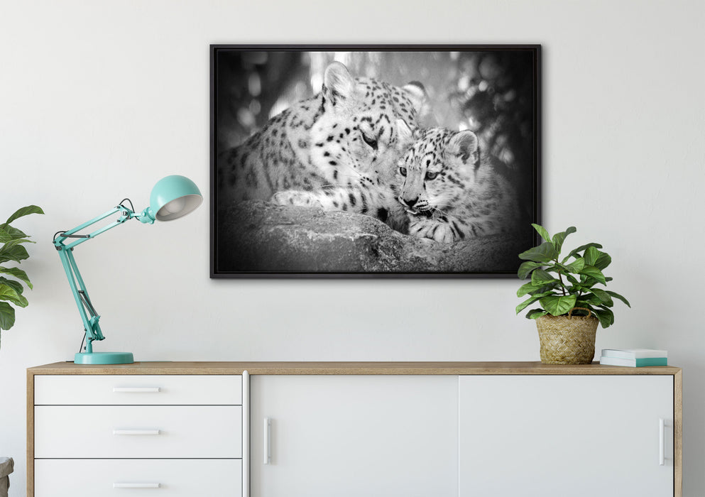 Leopard mit Jungtier auf Leinwandbild gerahmt verschiedene Größen im Wohnzimmer