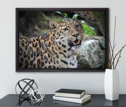 prachtvoller Leopard auf Leinwandbild gerahmt mit Kirschblüten